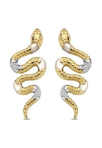 Ti Sento Milano Orecchini - argento couleur