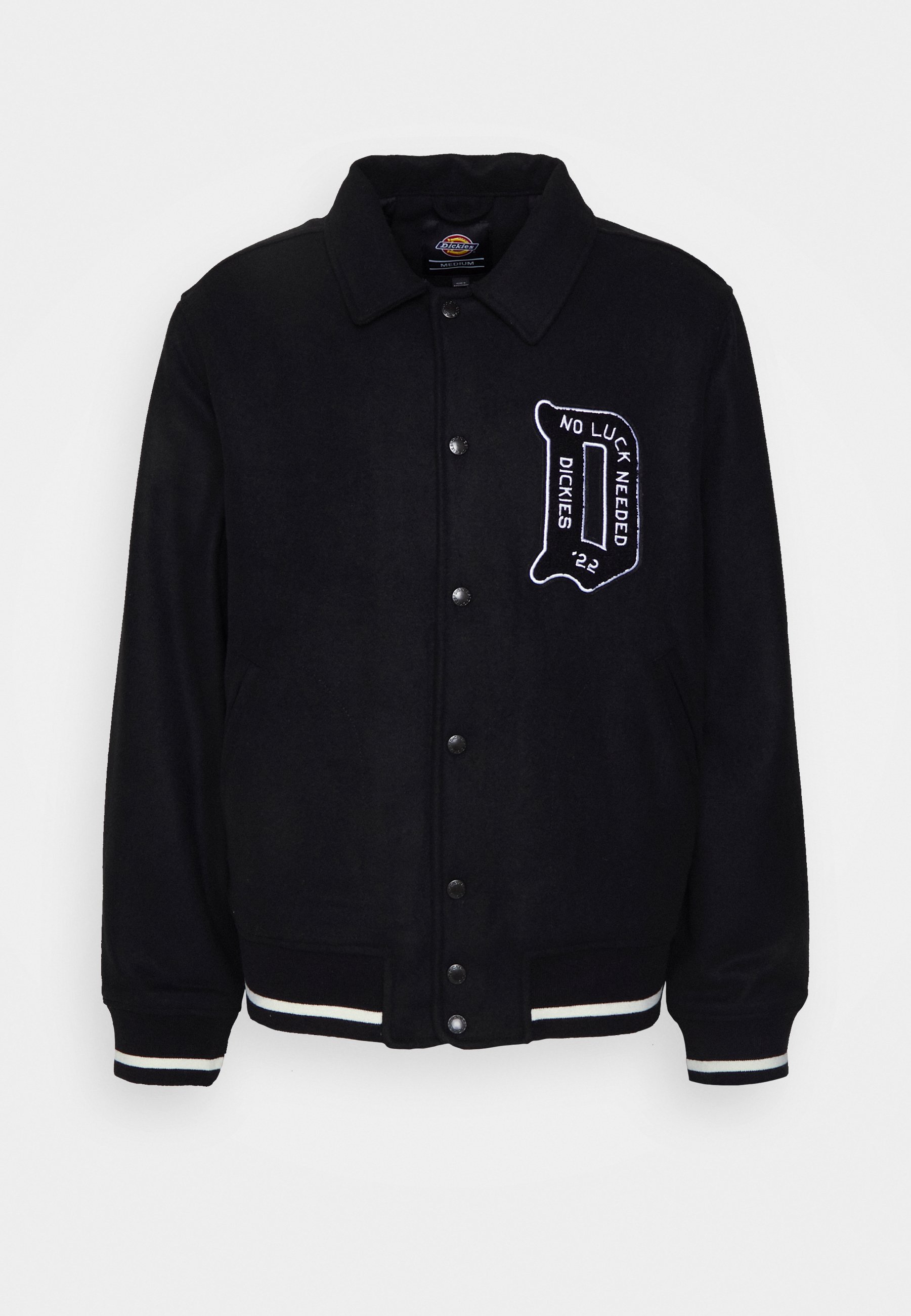 Dickies UNION SPRINGS JACKET - Mezisezónní bunda - black