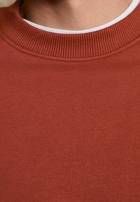 Gros plan sur une personne portant un pull ras du cou couleur rouille avec un col de sous-vêtement blanc visible.