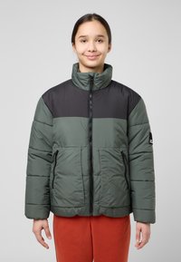 Giacca imbottita con un corpo verde scuro e pannelli superiori neri, chiusura a zip, colletto alto e tasche laterali. Indossata sopra pantaloni arancioni.