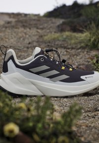 Chaussure de trail running Adidas Terrex Gore-Tex gris foncé et blanc sur un sol rocheux avec des plantes vertes en arrière-plan.