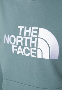 The North Face LIGHT DREW PEAK HOODIE - Sweatshirt com capuz - goblin blue