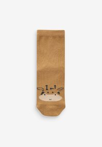 Next RICH 5 PACK - Ponožky - neutral animal face