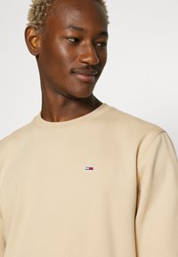 Tommy Jeans REGULAR C NECK - Camisola - trench