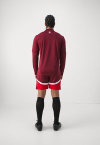 Puma SWITZERLAND SFV REPLICA - Landsholdstrøjer - team regal red/red