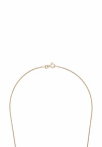 Collar de cadena metálica dorada y delgada con un simple cierre de langosta. El diseño es elegante, con una textura lisa y plana en toda su extensión.