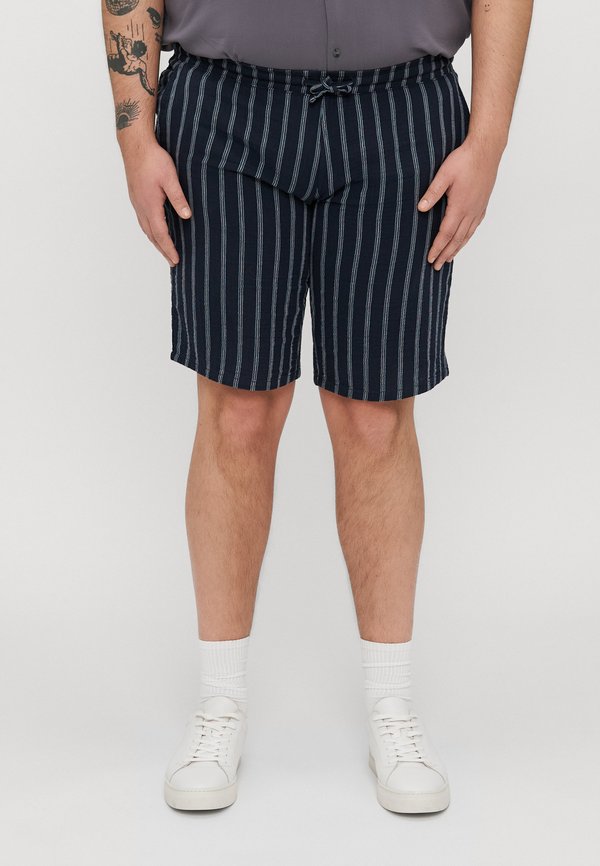 JPSTJAIDEN PATRAS - Shorts - sky captain