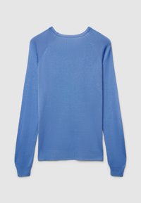 Blauer Pullover mit langen Ärmeln und strukturierter Strickmuster. Verfügt über einen Rundhalsausschnitt sowie gerippte Bündchen und Saum. Rückansicht dargestellt.