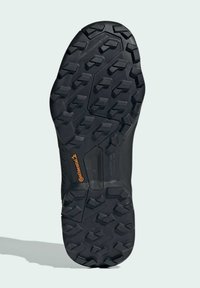 Adidas Terrex TERREX SWIFT R3 GORE-TEX® - Outdoorschoenen - silver green   green spark   olive strata