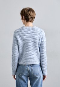 Vanessa Bruno DORINA - Kardigan - neptune