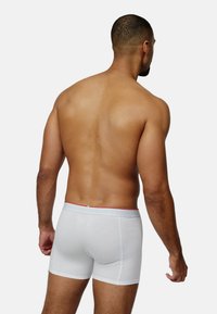 Danish Endurance 3 PACK - Boxer  - white
