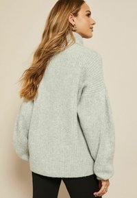 Friends Like These COSY ROLL NECK  - Striktrøje - grey