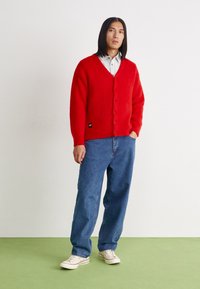 Manastash ABERDEEN KURTIGAN - Chaqueta de punto - red