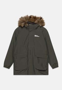 Jack Wolfskin - COSY BEAR 3 IN 1 - Zimní kabát - slate green Miniatura obrázku 1