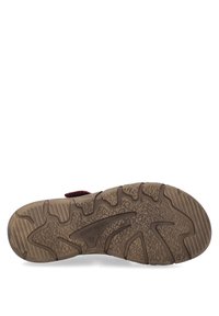 Josef Seibel Mules - orchidee