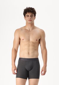 Graue Baumwoll-Boxerbriefs mit einem schwarzen Bund, der das "Hollister"-Logo trägt, strukturierte Passform und eine glatte Textur.