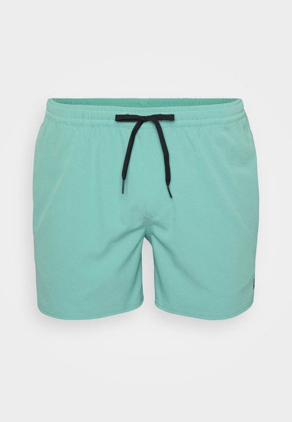 EVERYDAY FLEX VOLLEY - Swimming shorts4