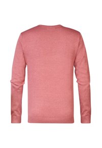 Petrol Industries Trui - cedar wood