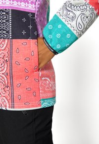 DC Shoes SALEM - Sweatshirt com capuz - multi-coloured