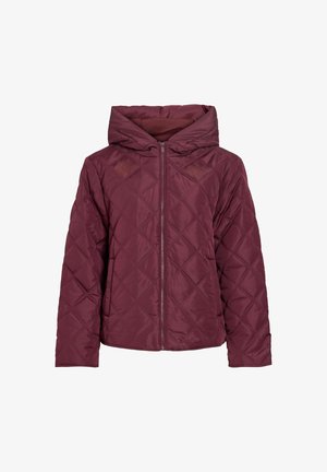 VILA, QUILTED JACKET VITATE HOODED - Veste d'hiver - fig