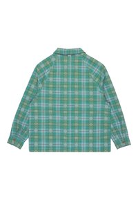 Langarmshirt in groen geruit patroon met blauwe accenten, voorzien van een puntige kraag, raglanmouwen en knoopmanchetten.