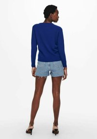 ONLY ONLLESLY KINGS NOOS - Trui - surf the web