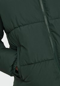 Green puffer jacket featuring a smooth, textured fabric with a high collar, zip closure, and side pockets, highlighted by quilted detailing.