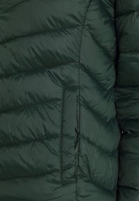 Tummanvihreä untuvatakki, jossa on ommeltu vinokuvio, sivutasku ja sileä, kiiltävä pinta. Lämmin ja eristetty muotoilu.