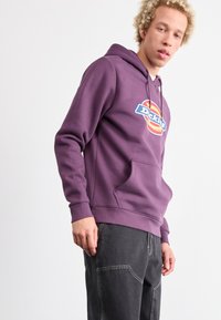 Dickies MADISON DOUBLE KNEE - Laisvo stiliaus džinsai - black
