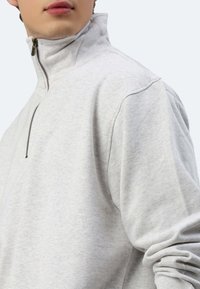 Pullover grigio chiaro a mezza zip in tessuto morbido, con colletto rialzato e zip visibile. Maniche dal taglio rilassato e cuciture minime.
