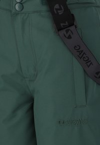 Grüne Outdoor-Hosen mit glatter Textur, ausgestattet mit einem Logo, einem Knopfverschluss und einem schwarzen verstellbaren Tragegurt mit Branding.