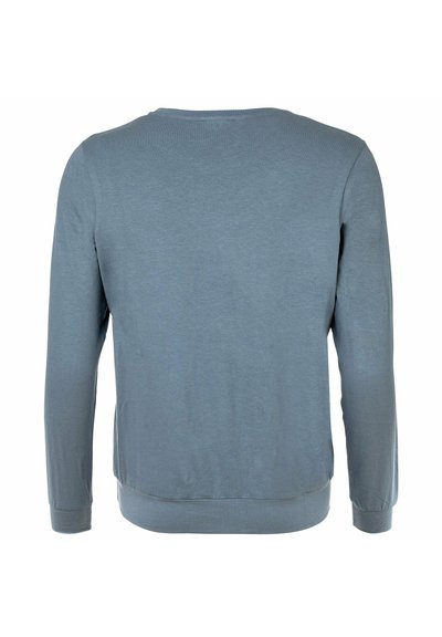 Felpa a maniche lunghe con colletto tondo di colore blu pallido. Materiale in morbido misto cotone con una texture liscia. Senza loghi o motivi visibili.