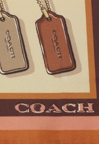 Etiquetas de Coach en plata y marrón, con un accesorio de cadena y el logo "COACH" en relieve. Colocadas sobre un fondo estampado con colores cálidos.