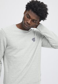 Lichtgrijze sweatshirt in een zachte stof. Heeft een ronde halslijn en lange mouwen. Bevat een geborduurde graphic op de borst.