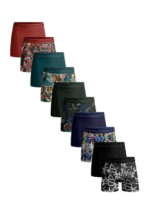 10 PACK SOLID - Trunks - print blue grey green red