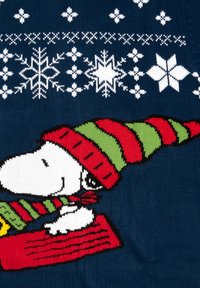 Pullover lavorato a maglia blu navy con Snoopy che indossa un berretto a strisce rosse e verdi. Fiocchi di neve bianchi e motivi decorano la parte superiore.