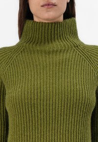 DRYKORN ARWEN - Strickpullover - green