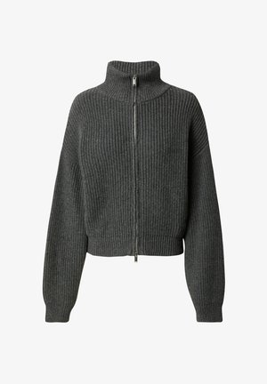LeGer by Lena Gercke CINDY JUMPER - Vesta na kopčanje - graumeliert