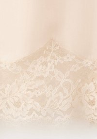 Tissu beige délicat avec une bordure en dentelle florale comportant des motifs complexes de feuilles et de fleurs sur un fond doux et transparent.