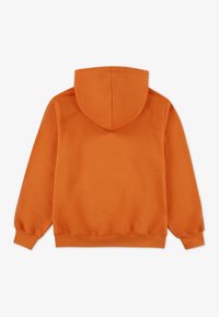 Jordan BASELINE - Hoodie - starfish