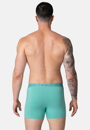 7-PACK SOLID - Boxers - black blue purple green pink