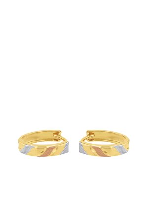 Pendientes - tricolor