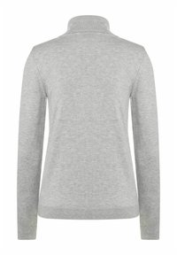 Hellgrauer Pullover mit hohem, geripptem Kragen. Lange Ärmel und eine glatte Strickstruktur. Schlichtes Design, keine sichtbaren Muster oder Verzierungen.