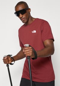 The North Face M SS BOX NSE TEE - T-shirts print - sumac/asphalt grey