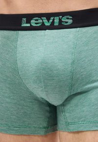 Κοντινό πλάνο ενός ατόμου που φοράει πράσινα boxer briefs της Levi's με μαύρη μέση όπου φαίνεται το λογότυπο της Levi's με πράσινα γράμματα.