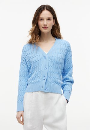 Młoda kobieta z falującymi włosami, ubrana w jasno-niebieski kardigan na guziki z warkoczowym splotem i białe spodnie, stojąca na tle jednolitego białego tła.