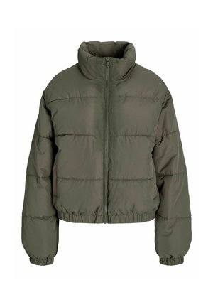 Veste d'hiver - sea turtle