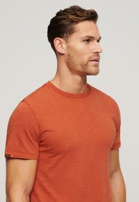 Korte mouw, ronde hals t-shirt in roestoranje, gemaakt van lichtgewicht stof met een subtiele textuur. Heeft een label op de linkermouw.