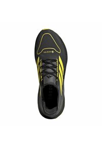 adidas Performance ULTRABOOST GTX - Chaussures de running - carbon cblack grefou