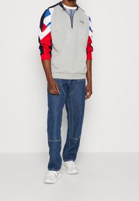 Felpa grigia con zip e maniche a righe multicolori; abbinata a jeans blu e sneakers bianche. Tessuto strutturato e design sportivo.